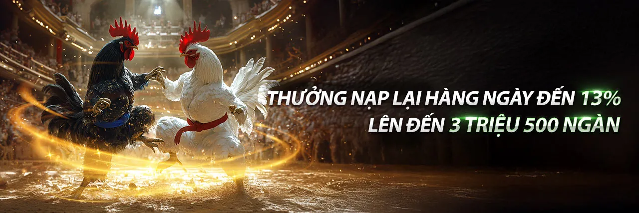 Hình ảnh đá gà trực tiếp sôi động tại helo888