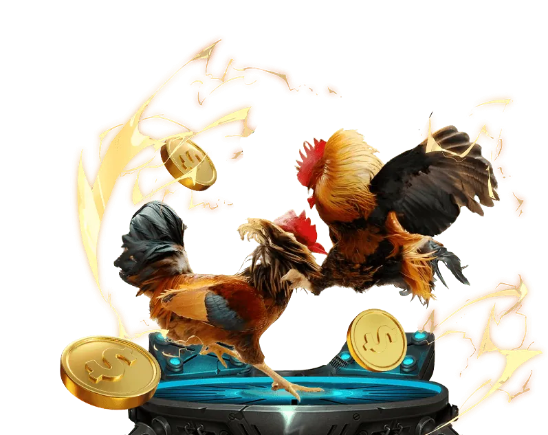 Trực tiếp các trận đá gà kịch tính từ các trường đấu lớn tại Helo888 Sinbet, mang đến trải nghiệm chân thực.